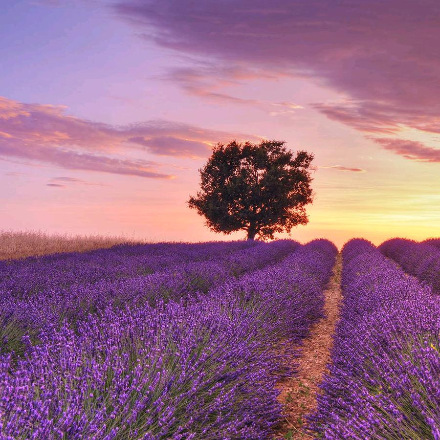 清姐佳惠超市(荔浦店)