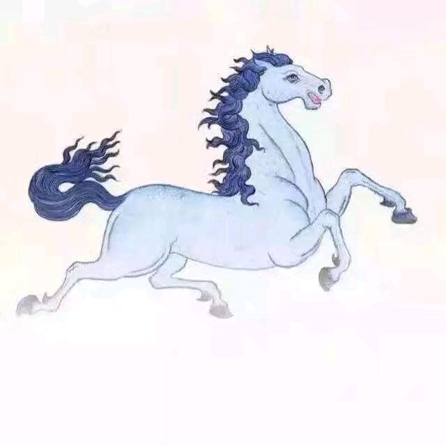 西藏白马