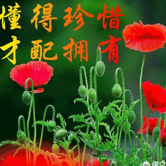 岁月静好