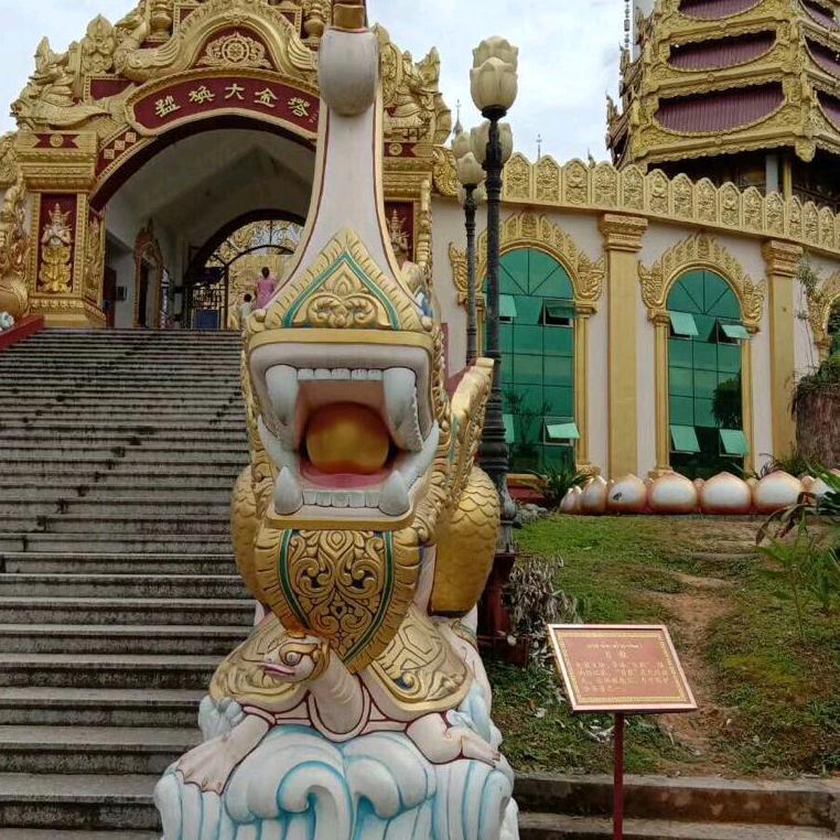 雨中漫步玫瑰城市