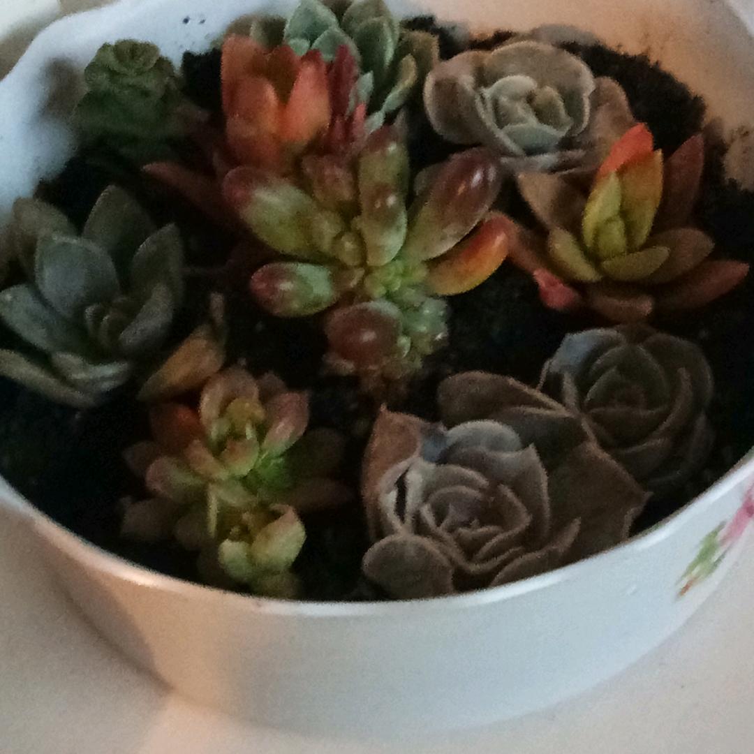 范五姐（拒绝私聊）