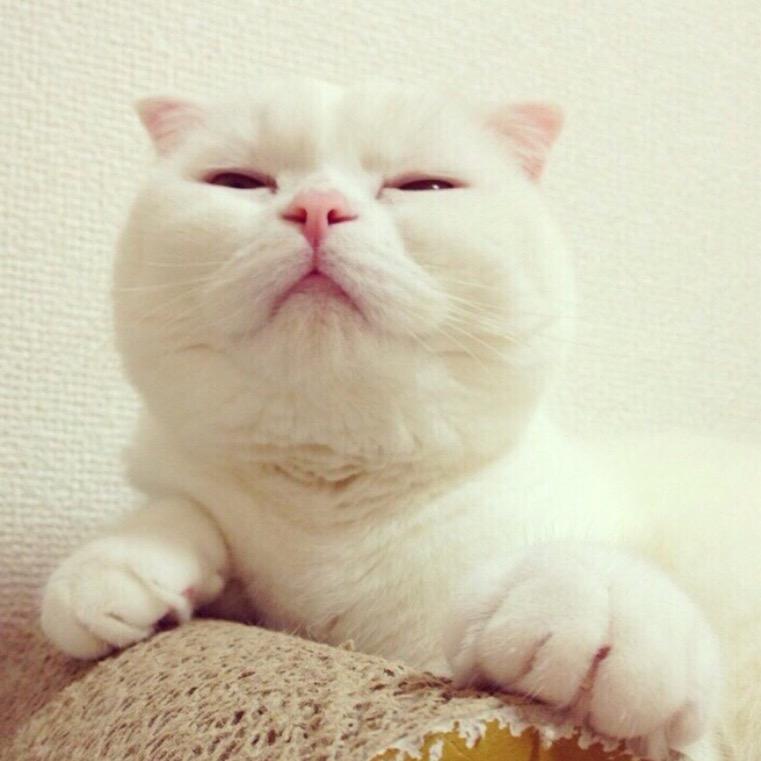 呆呆Kiri