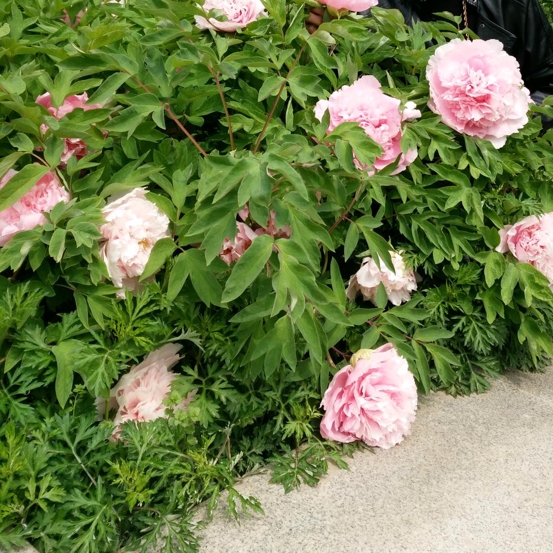 雨后的彩虹🌈′