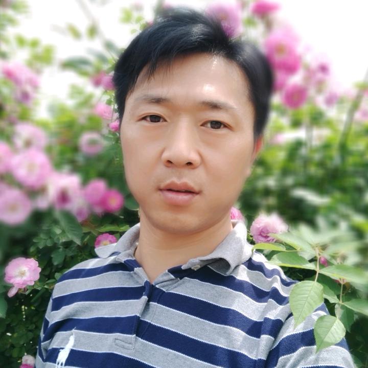 青竹