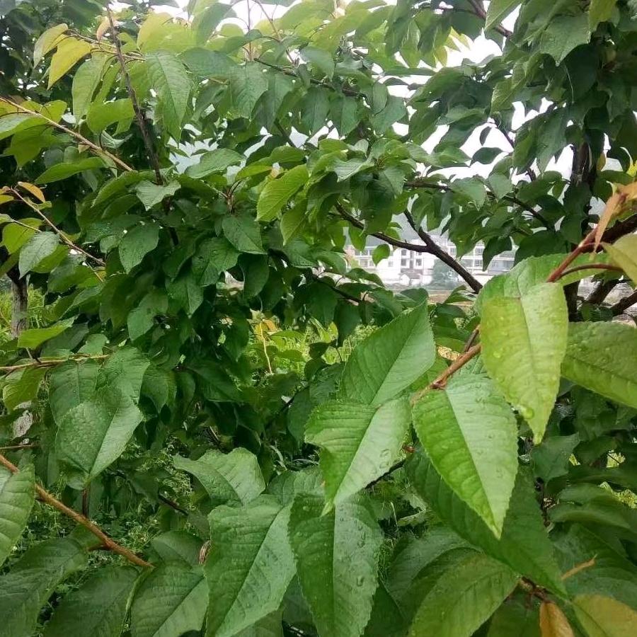 开开心心每一天