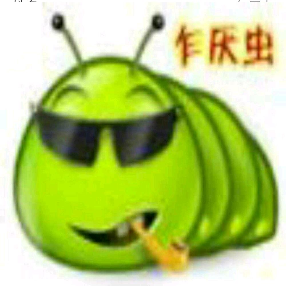 乍厌虫