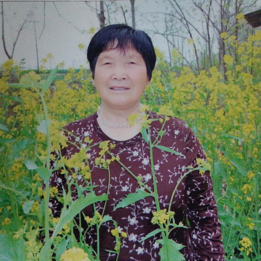 陕西老杨