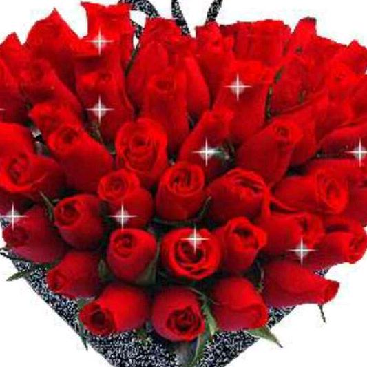 玫瑰送爱人刘🌹🌹🌹🌹🌹🌹