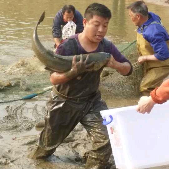 龍門第一關
