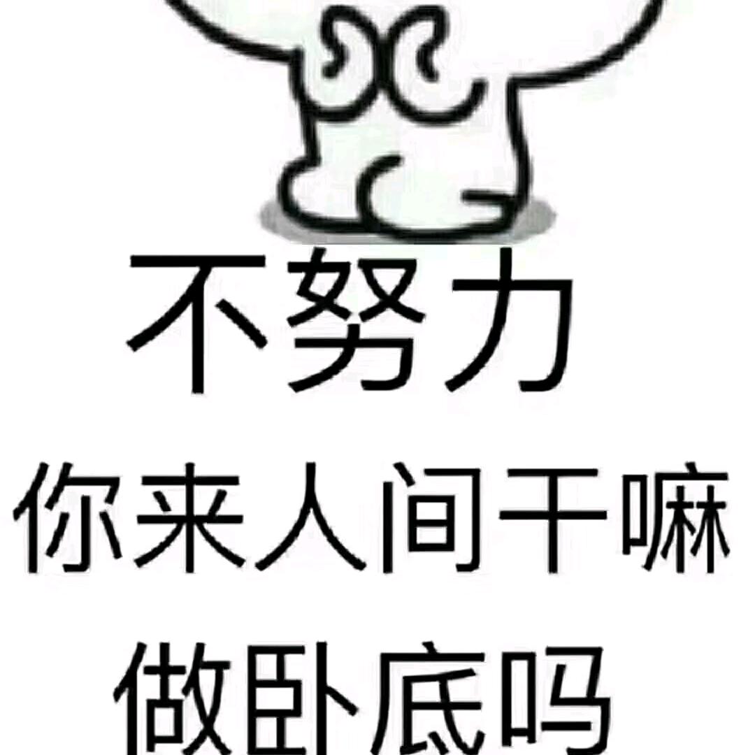 丰🤗富🤗多🤗彩🤗