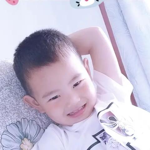 辉宝