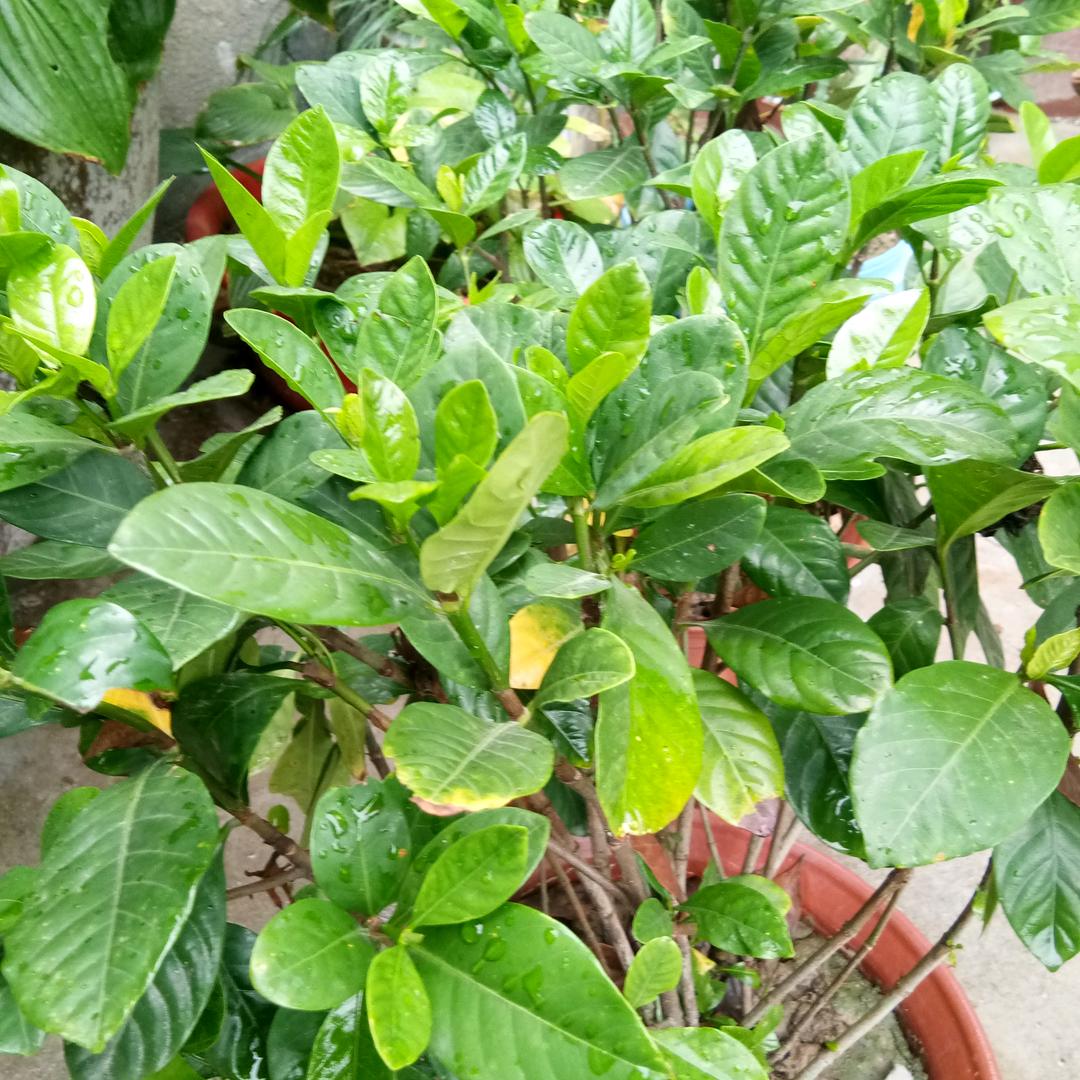 我爱我家