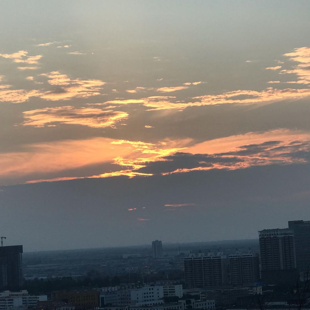 相依为命