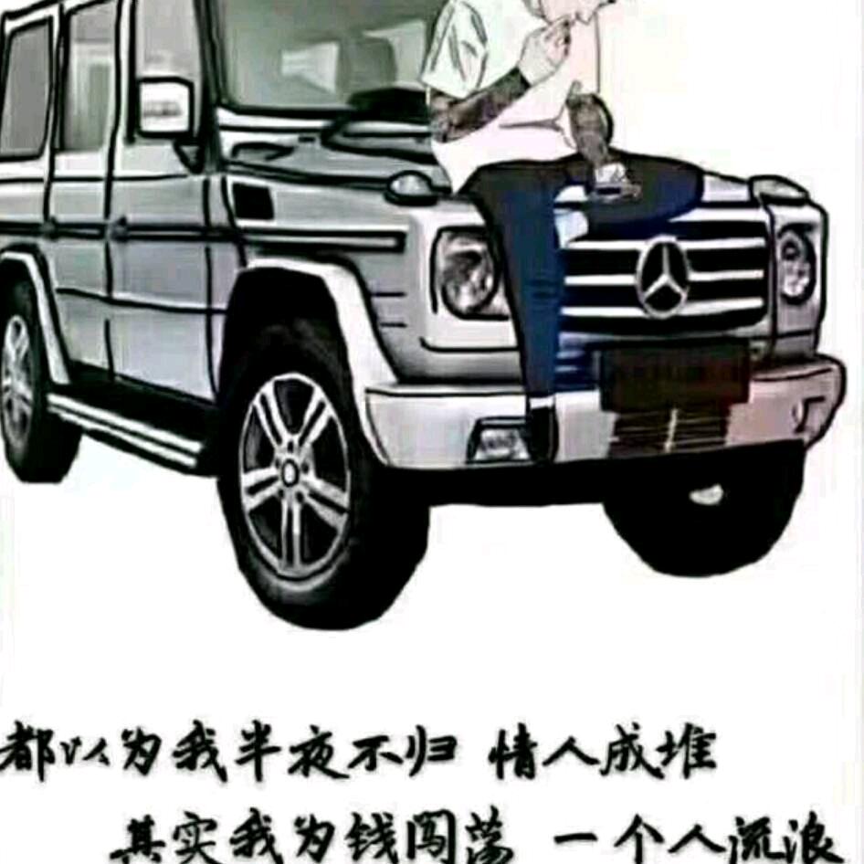 自由飞翔
