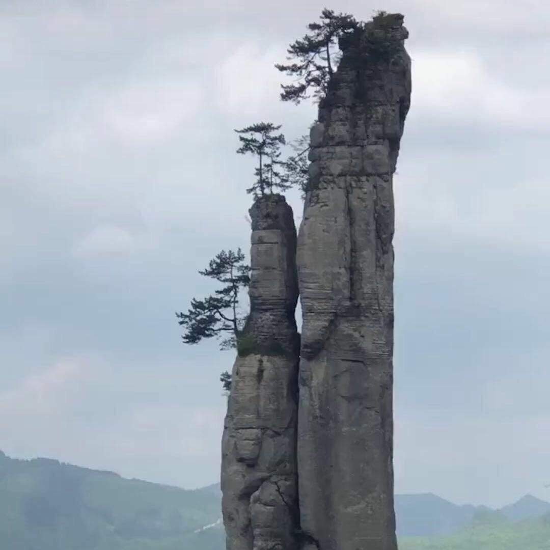 雪山飞狐