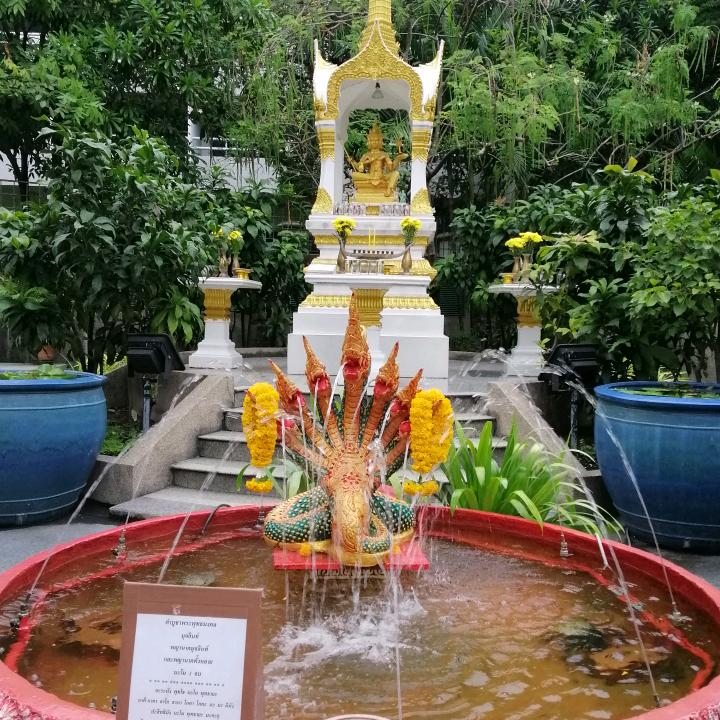 阳阳