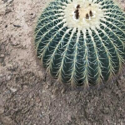 用户快乐每一天