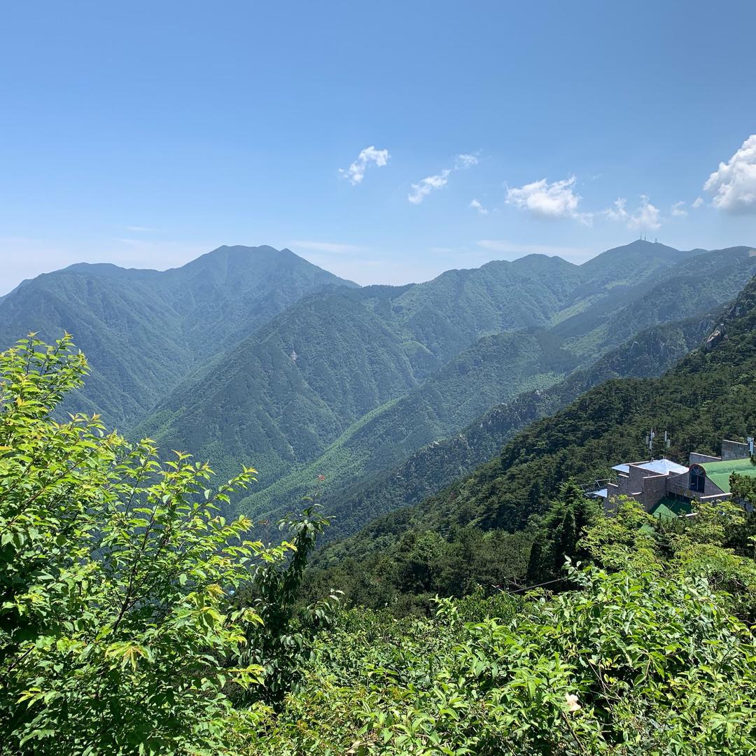 人间至味是清欢