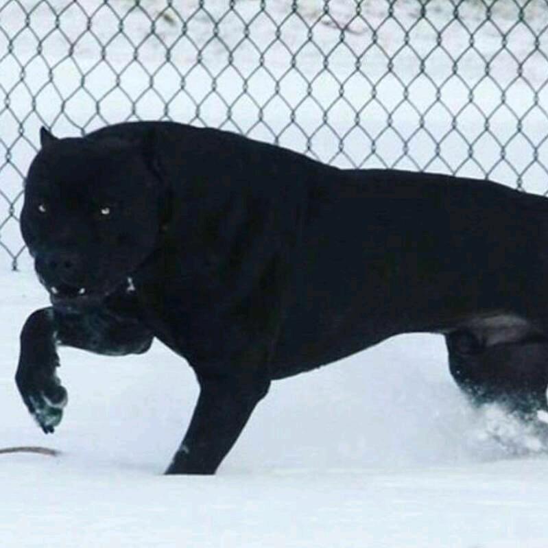 人生如戏☞我是谁的配角