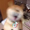冰封的火焰
