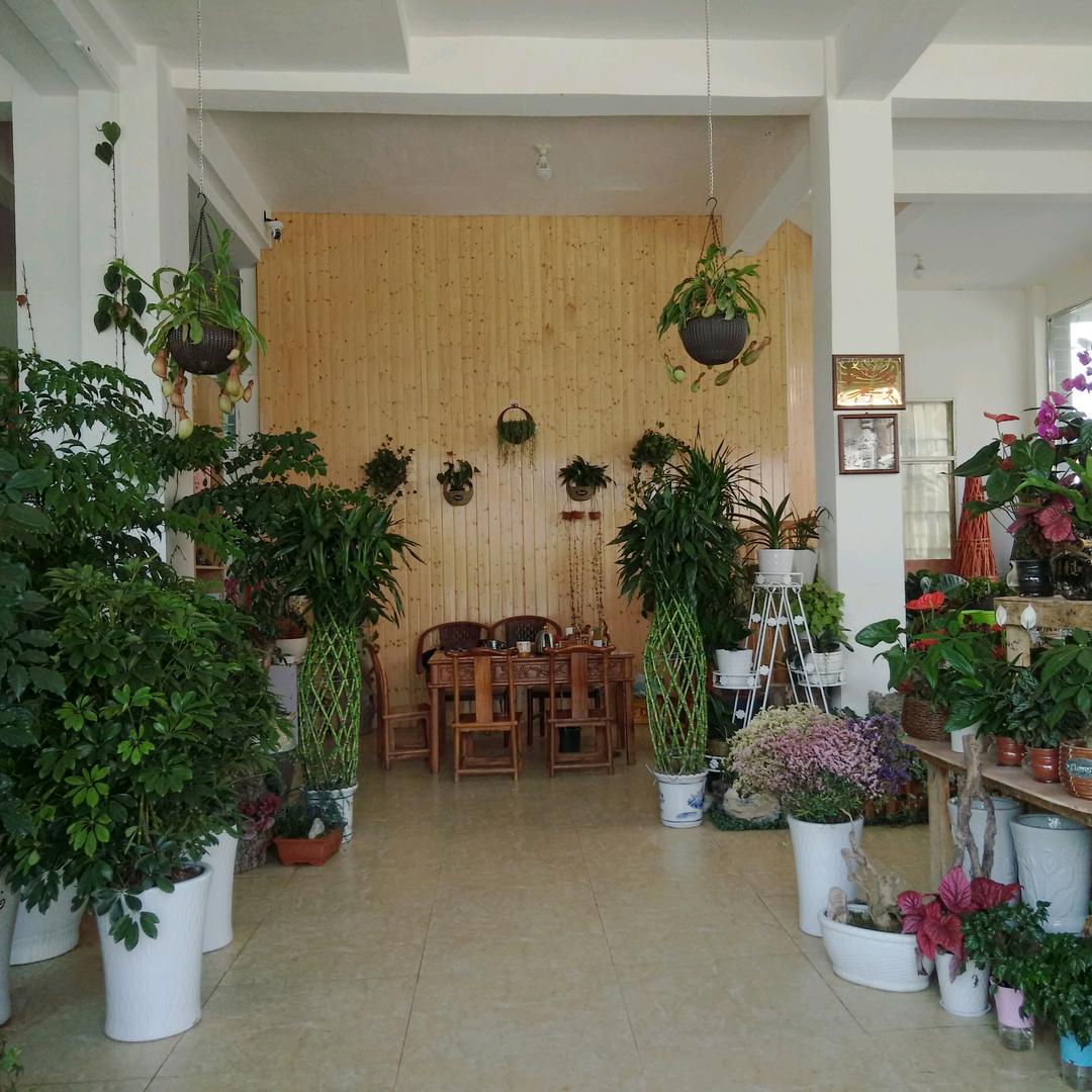 信杰6852