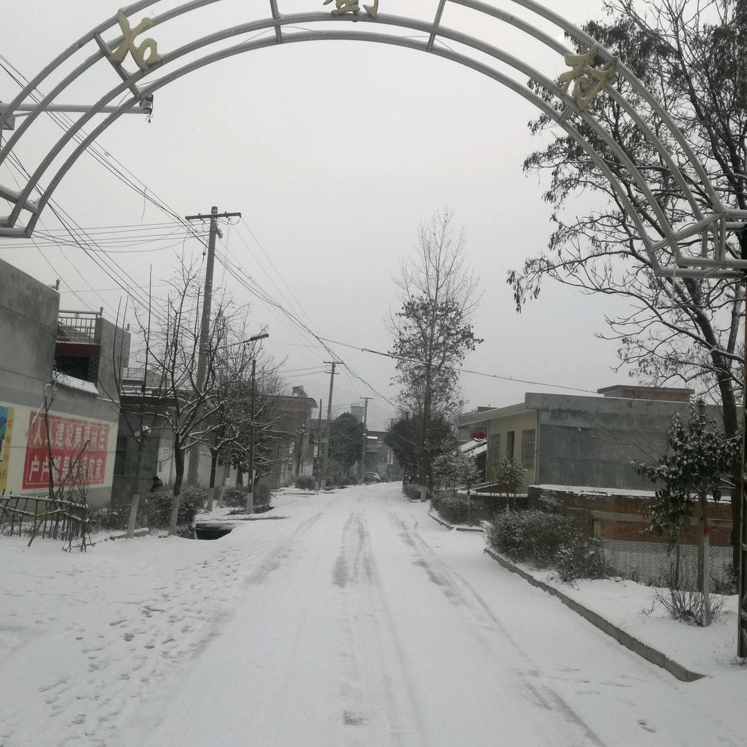 舍得