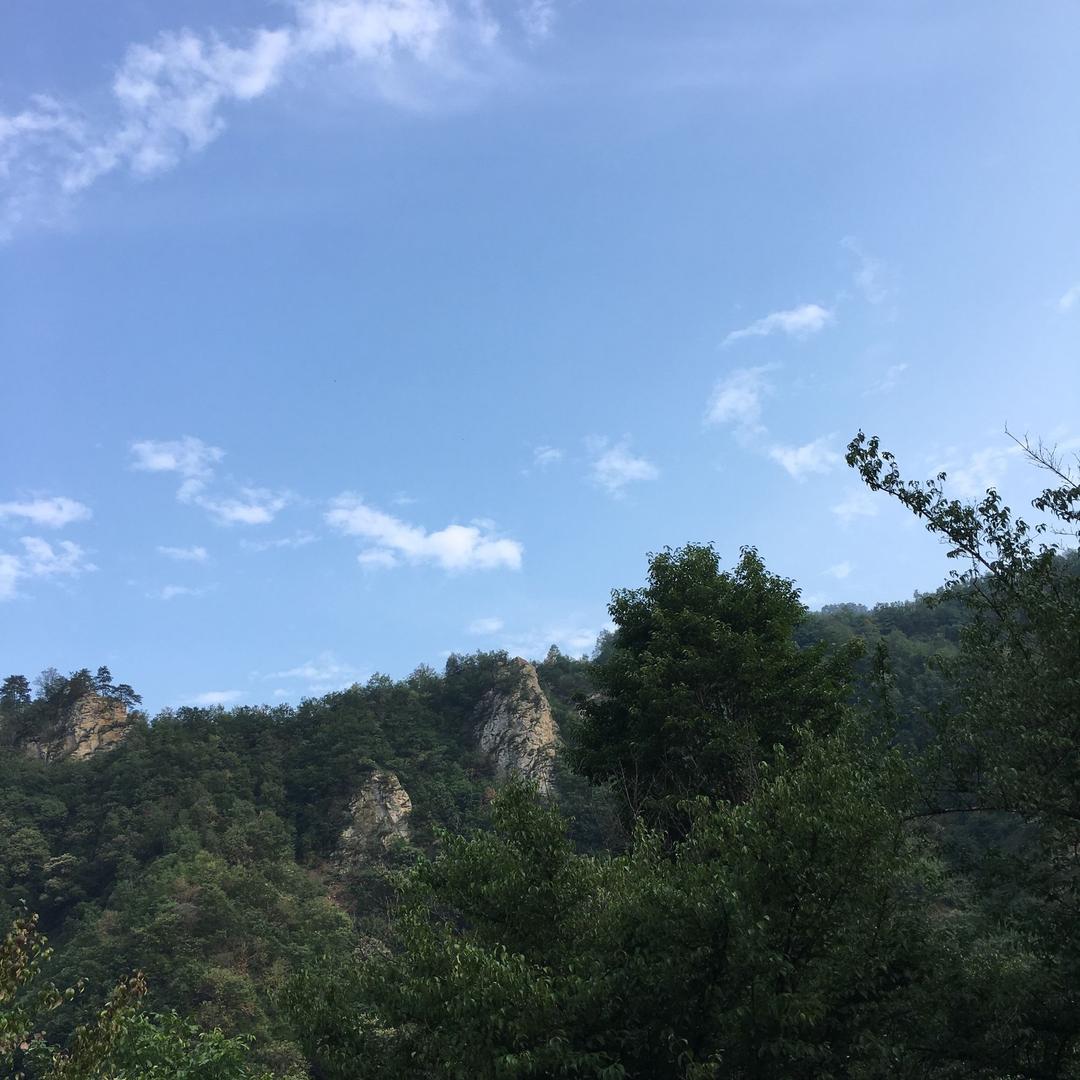 诚信做人！产地中药材加工