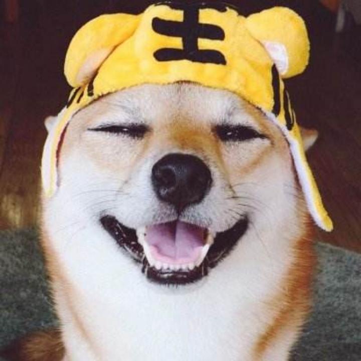 天天