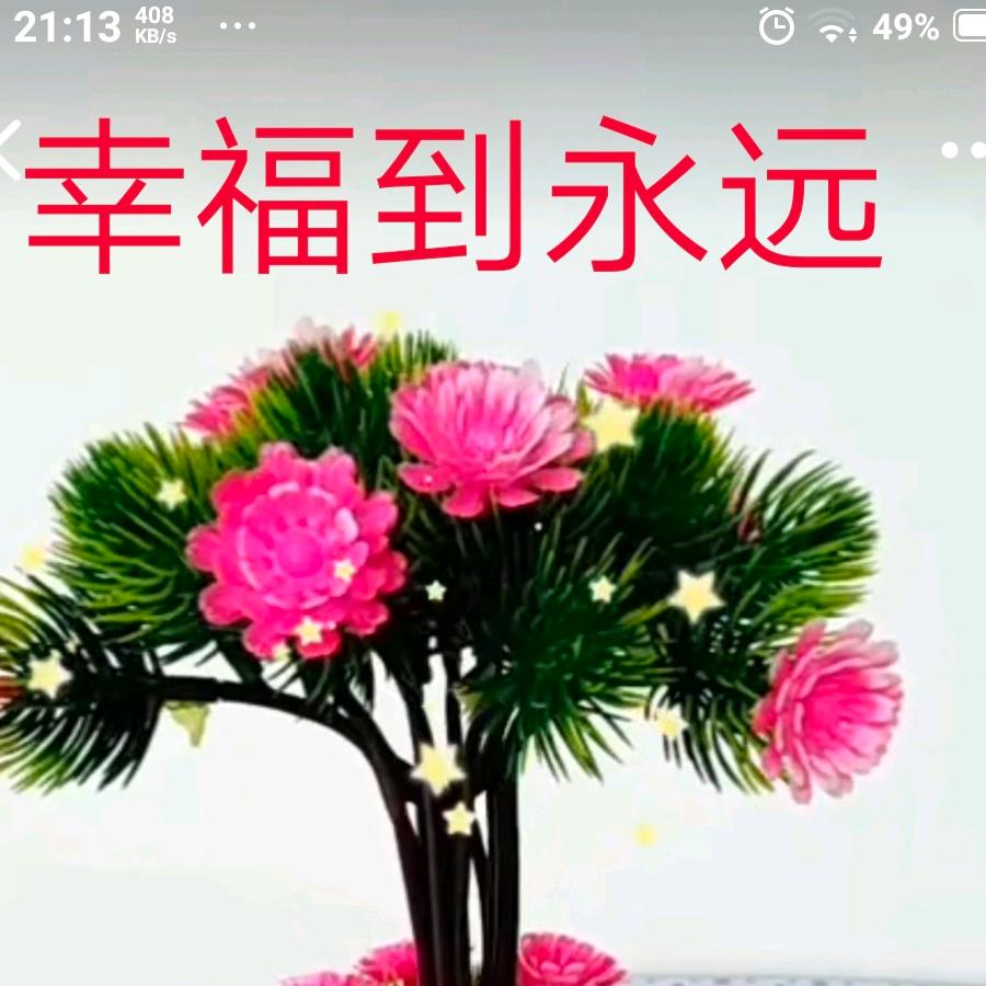 幸福到永远