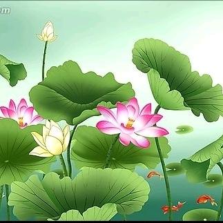 我就是我 91.12（拒绝私聊！）