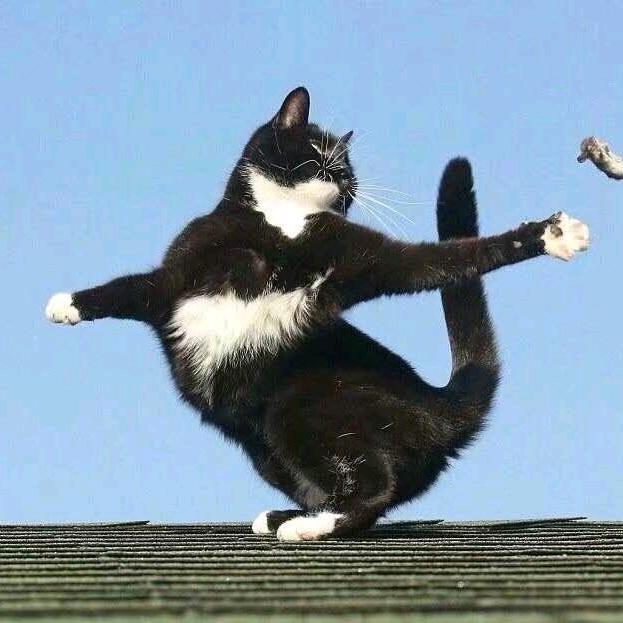 青青青馨