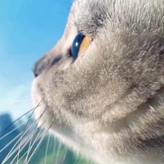 @橙风破浪