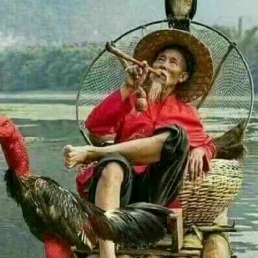 八九不离，时！