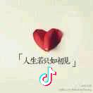 塔吊嫂子