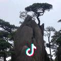 幸福快乐
