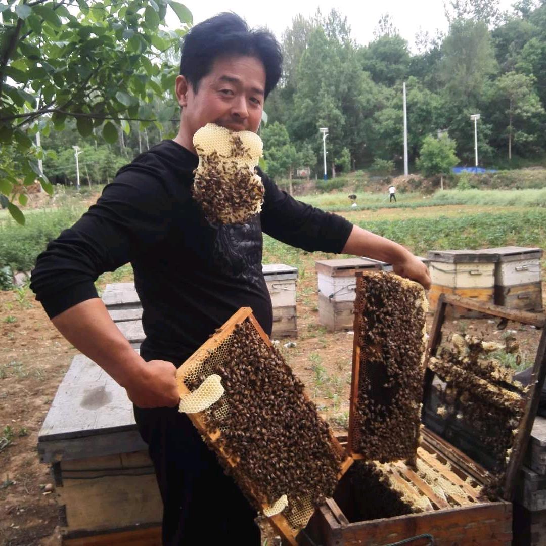尘蜂浪客