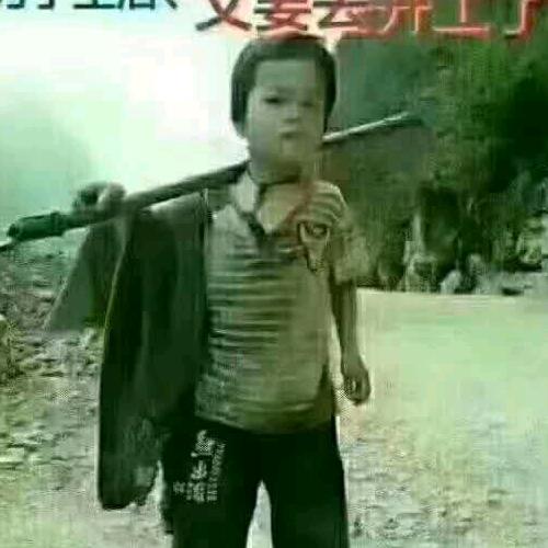 奋发图强