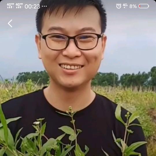 百草阿六记