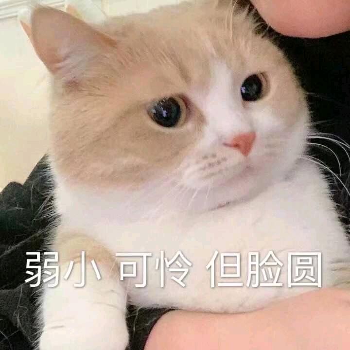 卉痧