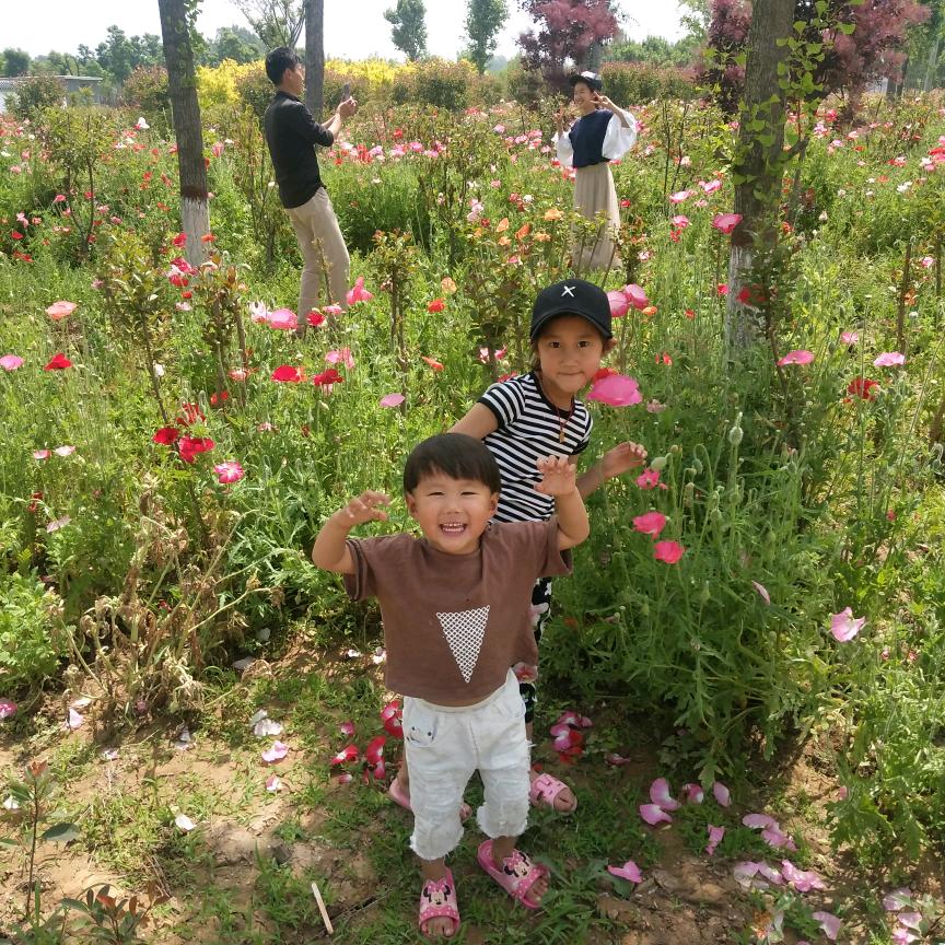 文艺世家春红1370