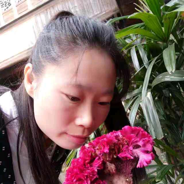 小燕子