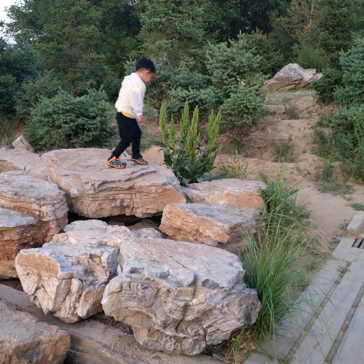 其其格