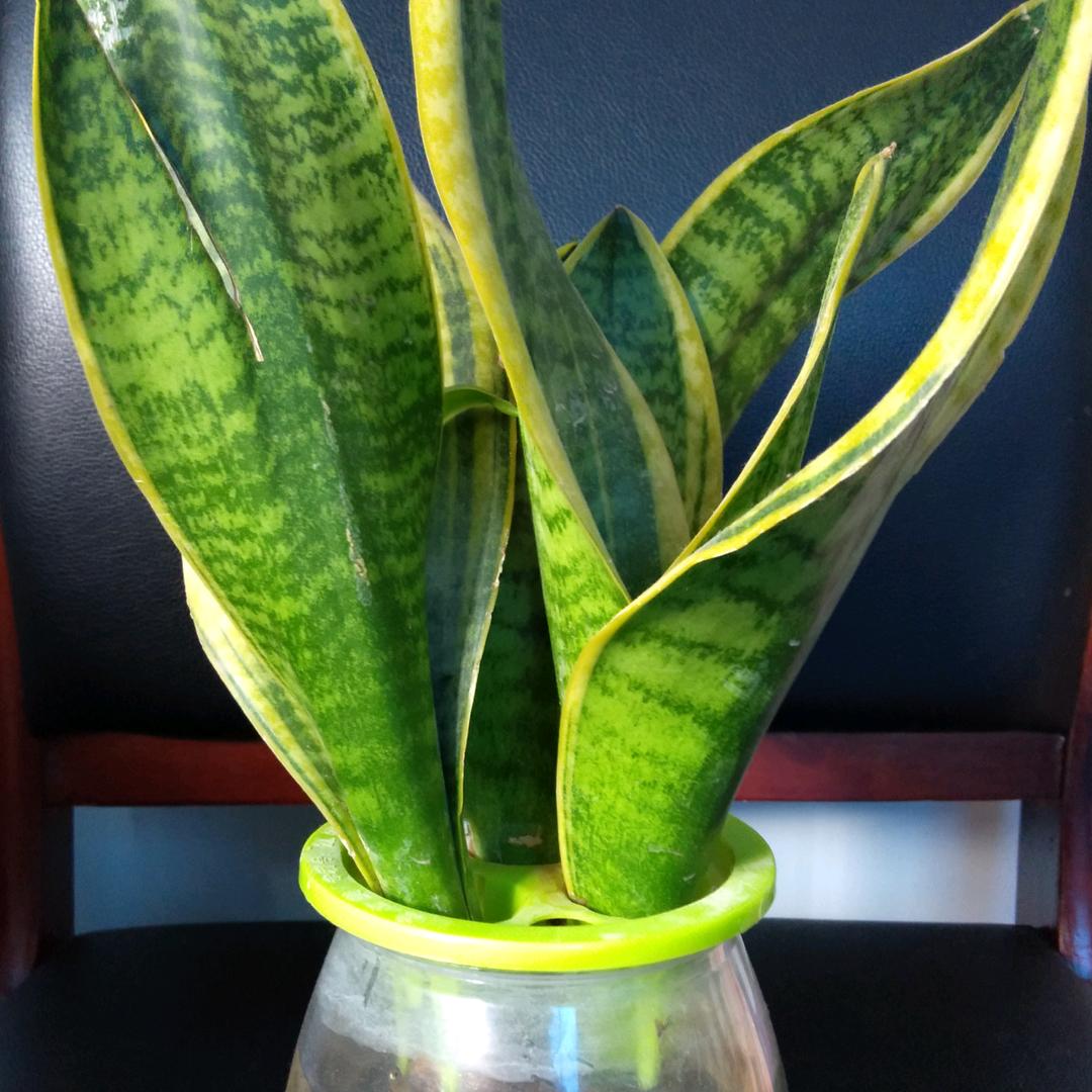 我家孩子们快乐我就快乐😷😷😷😷