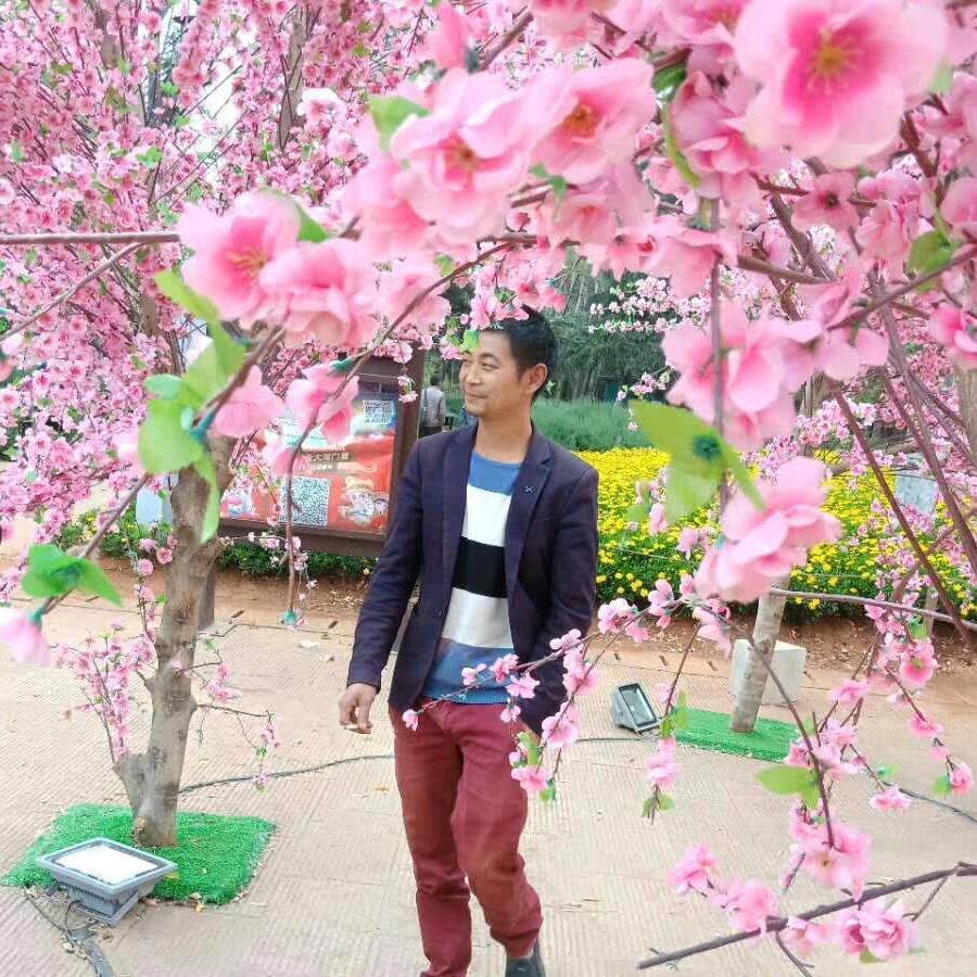犍为人在昆明
