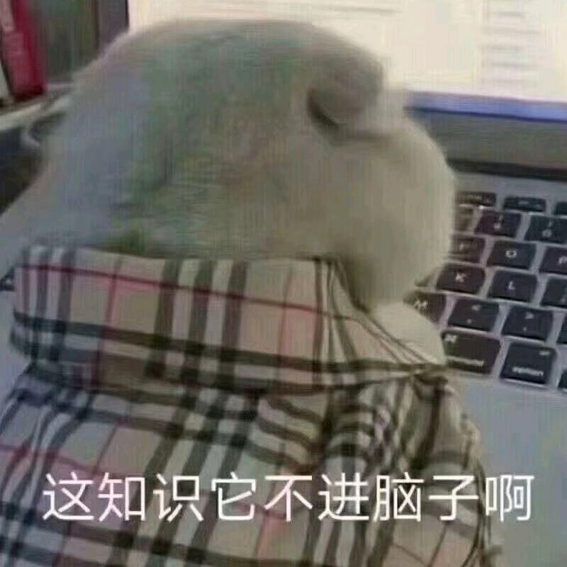 一淽