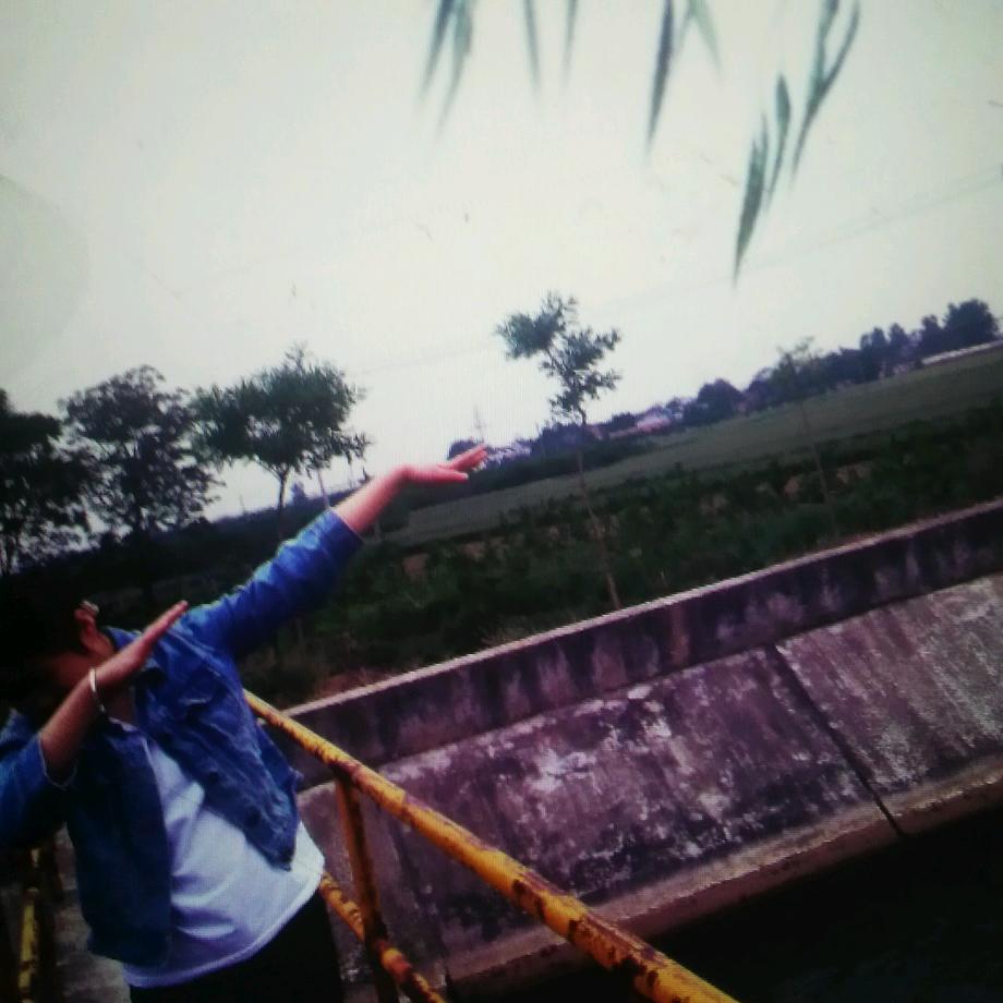 端木（拒私聊）