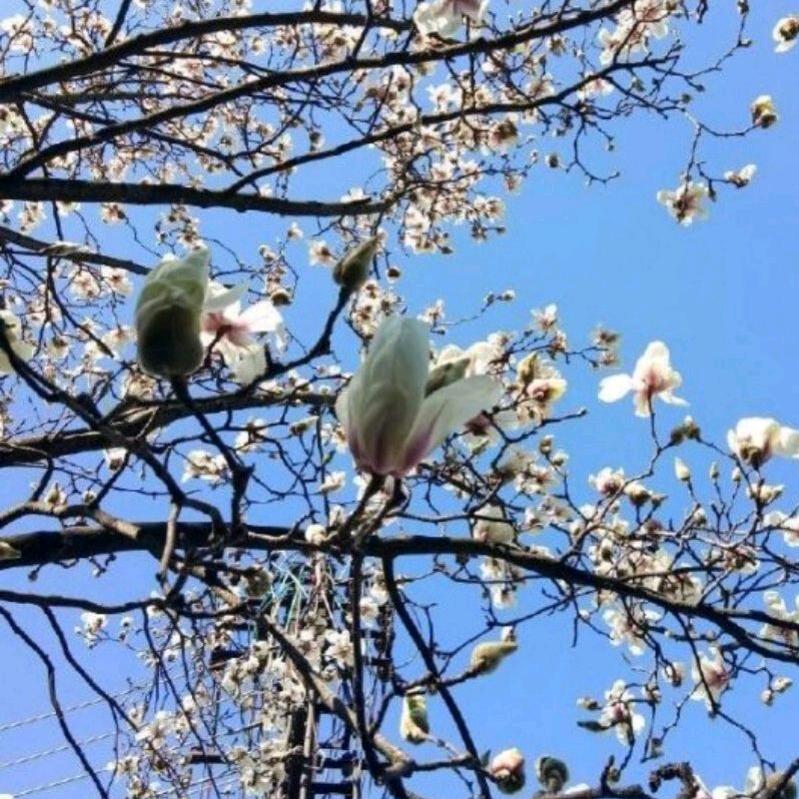 田兰兰