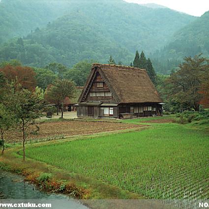 坦白相处
