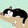 迷窝浅笑