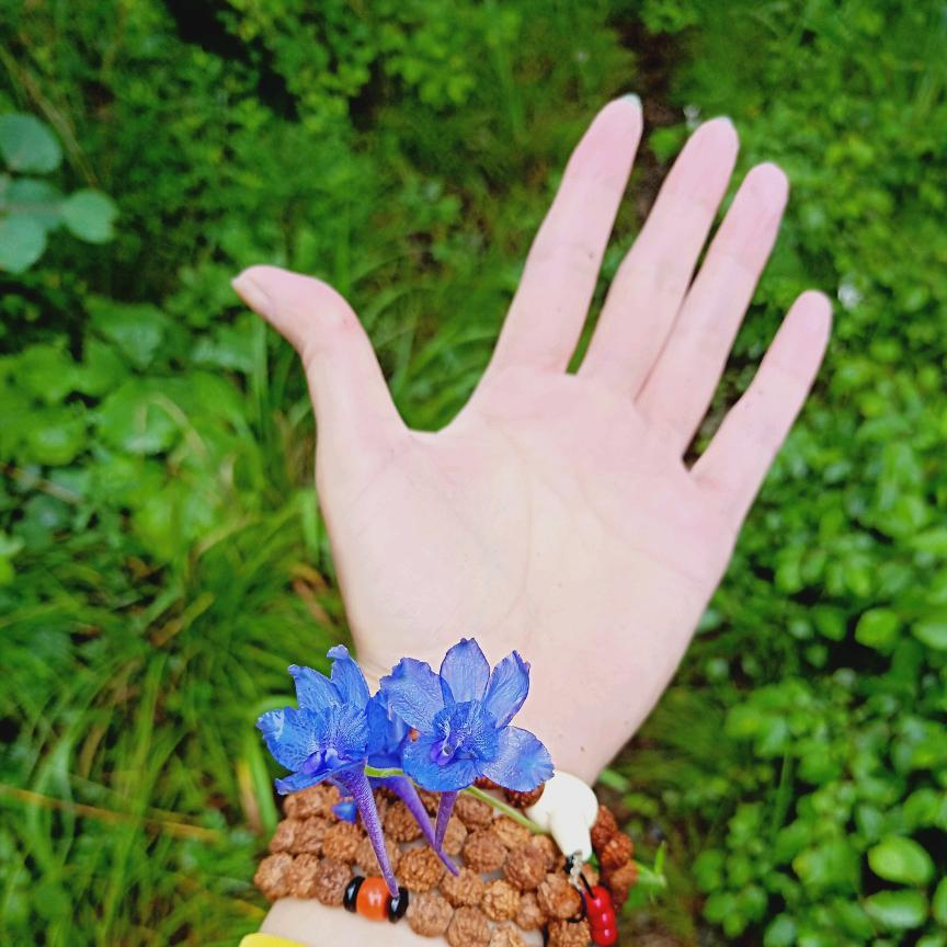 小桥流水🎏